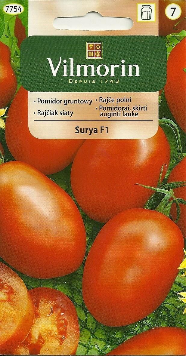 i-pomidor-gruntowy-surya-0-2g-70n-vilmorin